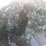 Apartment Suljic - Cash Only