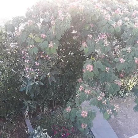 Apartamento Suljic - Cash Only